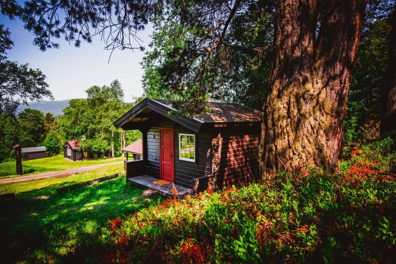 Ljoshaugen Camping Dombås Dış mekan fotoğraf