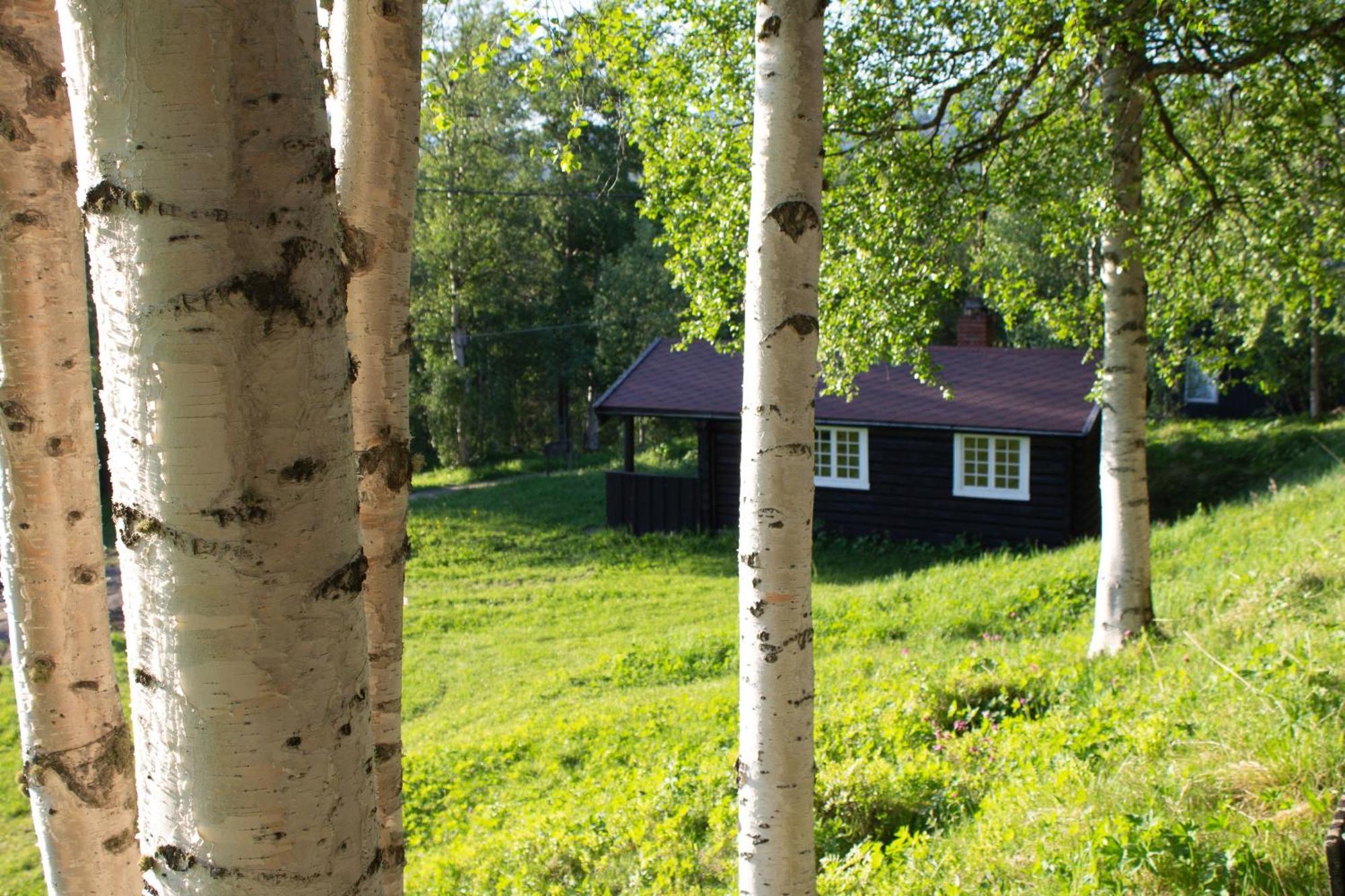 Ljoshaugen Camping Dombås Dış mekan fotoğraf